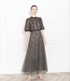 laya グレー レース ロングドレスのサムネイル