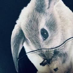 MILKBOY GANG RABBIT HOODYのサムネイル