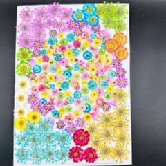 押し花素材 3919 染め花入りカラフルミックス - メルカリ