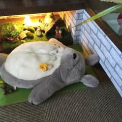 th様専用のサムネイル