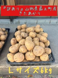 山形県最上町産 きたあかり Lサイズ 6kg ジャガイモのサムネイル