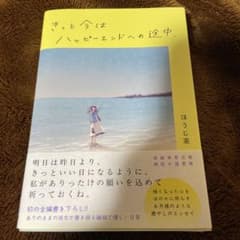 きっと今はハッピーエンドへの途中、のサムネイル