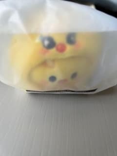 ⭐️即日発送⭐️ SKZOO KEYRING Lying BbokAri キーリングのサムネイル