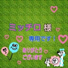 ミッチロ様♪専用です！！Victor Everio☆のサムネイル