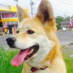 Sophie様専用となりますのサムネイル