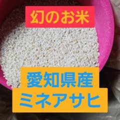 幻のお米 ミネアサヒ【玄米】10kg 愛知県産 令和7年産 美味しいお米 おこめ ☆新米☆ 幻のお米 ミネアサヒ【玄米】10kg 令和8年産 愛知県産