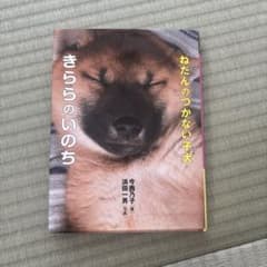【夏休み読書感想文】ねだんのつかない子犬 きららのいのちのサムネイル