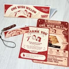 災愛 Obsession one wish willowのサムネイル