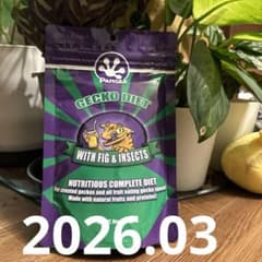 パンゲア✩.*˚WITH FIG&INSECTS8oz✩.*˚2026.03のサムネイル