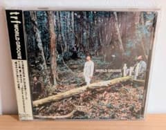 帯付き・美品】trf WORLD GROOVE CD - メルカリ