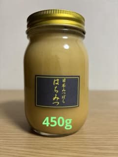 日本蜜蜂はちみつ　宮崎県椎葉村産　2025年4月採れ　450g×5本2250g 日本蜜蜂はちみつ 2025年10月採れ 宮崎県産 450g - メルカリ
