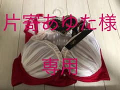 ブラジャー ショーツのサムネイル