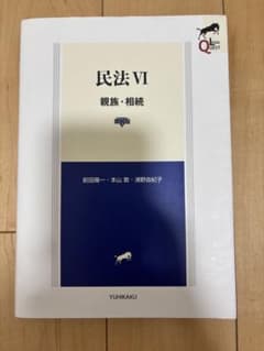 民法VI 親族・相続 第8版のサムネイル
