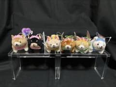 忠犬もちしば　花かんむりスクっとぷち　6種セット