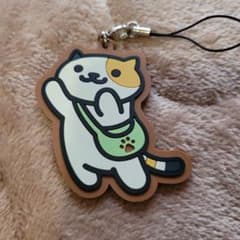 고양이 아츠메 토비미케씨