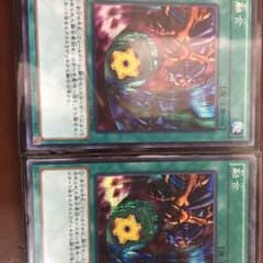 遊戯王 融合 シク 2枚のサムネイル