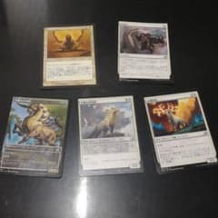 MTG　光　5枚セットのサムネイル