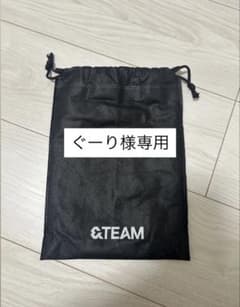 &teamペンライト 収納袋 - メルカリ