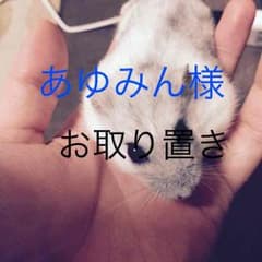 あゆみん様お取り置き☆index☆白バッグのサムネイル