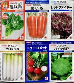 野菜の種【タキイ】今〜夏秋♪育てやすい6種類セットのサムネイル