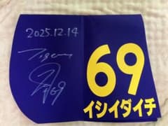 阪神タイガース 阪神競馬場 サイン入りゼッケン 石井大智 - メルカリ