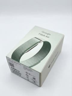 Google Fitbit Air 本体