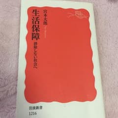 生活保障 : 排除しない社会へ/宮本 太郎のサムネイル