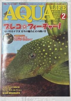 AQUA LIFE 2013年2月号 No.403 プレコ フィーチャーのサムネイル