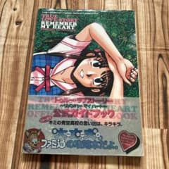 帯付初版 トゥルーラブストーリー 公式ガイドブック トレカ付 - メルカリ