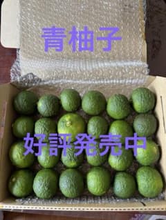 青柚子　24個(約１キロ)のサムネイル