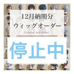 【ウィッグオーダー】鈴谷ページ(7月納期) ウィッグオーダー】鈴谷ページ(7月納期) ウィッグオーダー】鈴谷