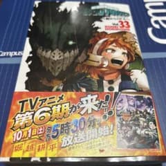 僕のヒーローアカデミア 33のサムネイル