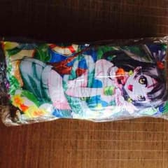 ラブライブ！ 南 ことり 抱き枕のサムネイル