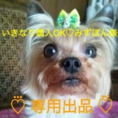 ORBIS サンスクリーン オン フェイスのサムネイル