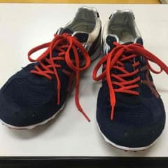 アシックス LDジャパン (TTP07R) 25.0cmのサムネイル