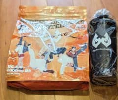 STREET DANCER'S PROTEIN 1000g BCAA6000mgのサムネイル