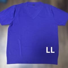 半袖ニット　紫　パープル　サマーニット　LL Vネックのサムネイル