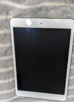 iPad mini　ジャンクのサムネイル