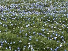 はな様 専用のサムネイル
