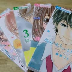 お値下げ可*胸がなるのは君のせいのサムネイル