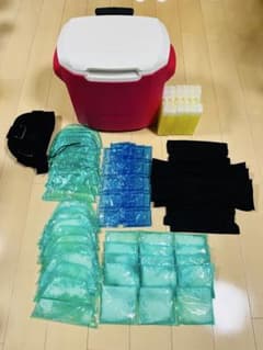 リンゴ⭐︎アイスジャパン　愛帽　頭皮冷却帽子　5時間分 愛帽 頭皮冷却帽子 (4時間分) アイスジャパン ICE JAPAN 1月3日まで30