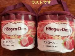 ラストです　ハーゲンダッツ　保冷バッグ　二個セットのサムネイル
