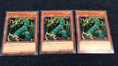 遊戯王 サンダードラゴン 3枚のサムネイル