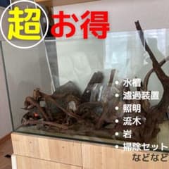 送料込❗️【アクアリウム引退品】水槽、流木、岩石、その他もろもろのサムネイル