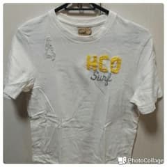 ★Hollister ホリスター Tシャツ★のサムネイル