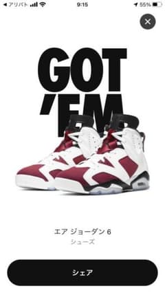 NIKE エアジョーダン6 カーマイン　28cmのサムネイル