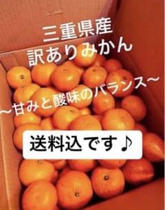 おばあちゃんのみかん〜10kg送料込です!〜のサムネイル