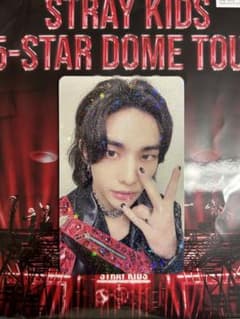 straykids ヒョンビン 5-STAR DOME TOUR トレカのサムネイル
