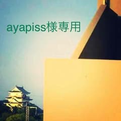 ayapiss様専用ページのサムネイル