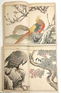 景年花鳥画譜大型色摺木版画本（春夏秋冬)4冊揃い、今尾景年画明治25年11月出版 景年花鳥画譜大型色摺木版画本（春夏秋冬)4冊揃い、今尾景年画明治25年